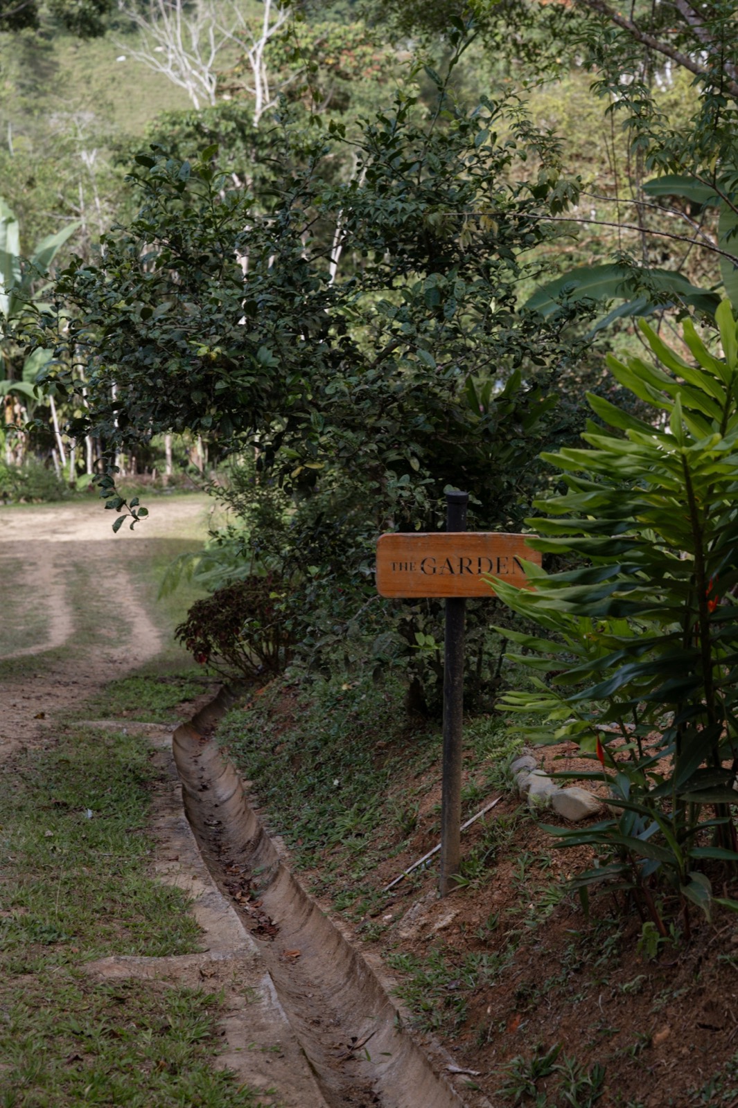 The Farm accommodation and retreat space at Metamorfinca near Uvita, Costa Rica — view 14