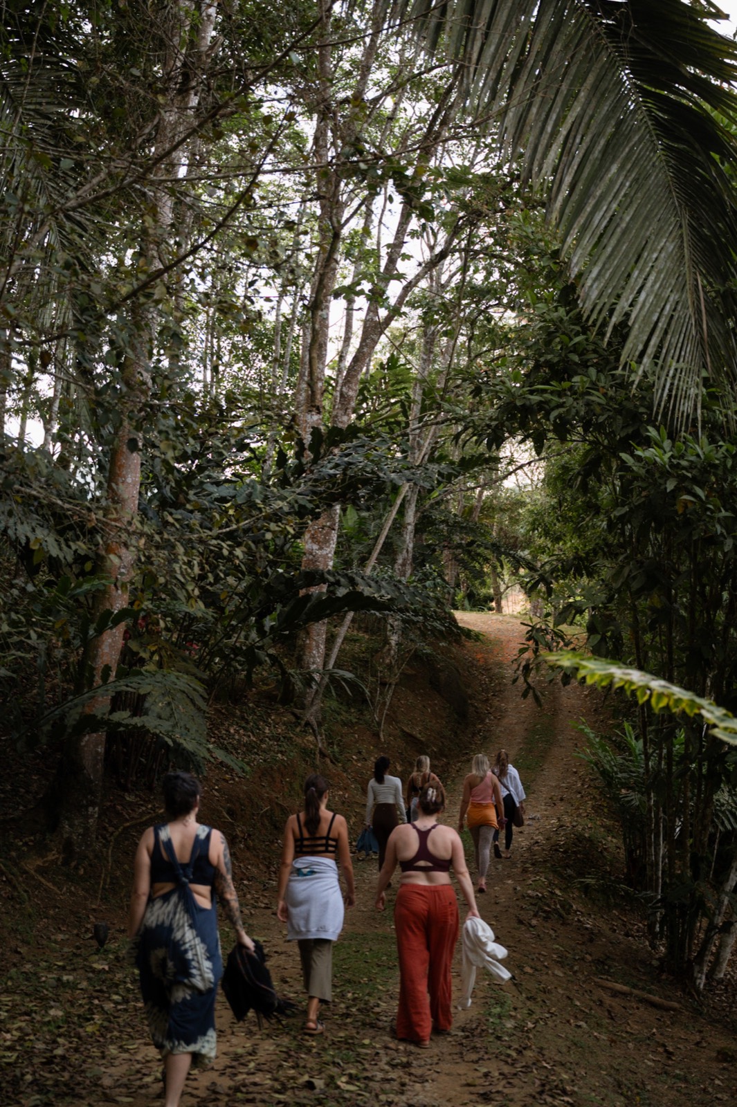 The Farm accommodation and retreat space at Metamorfinca near Uvita, Costa Rica — view 16