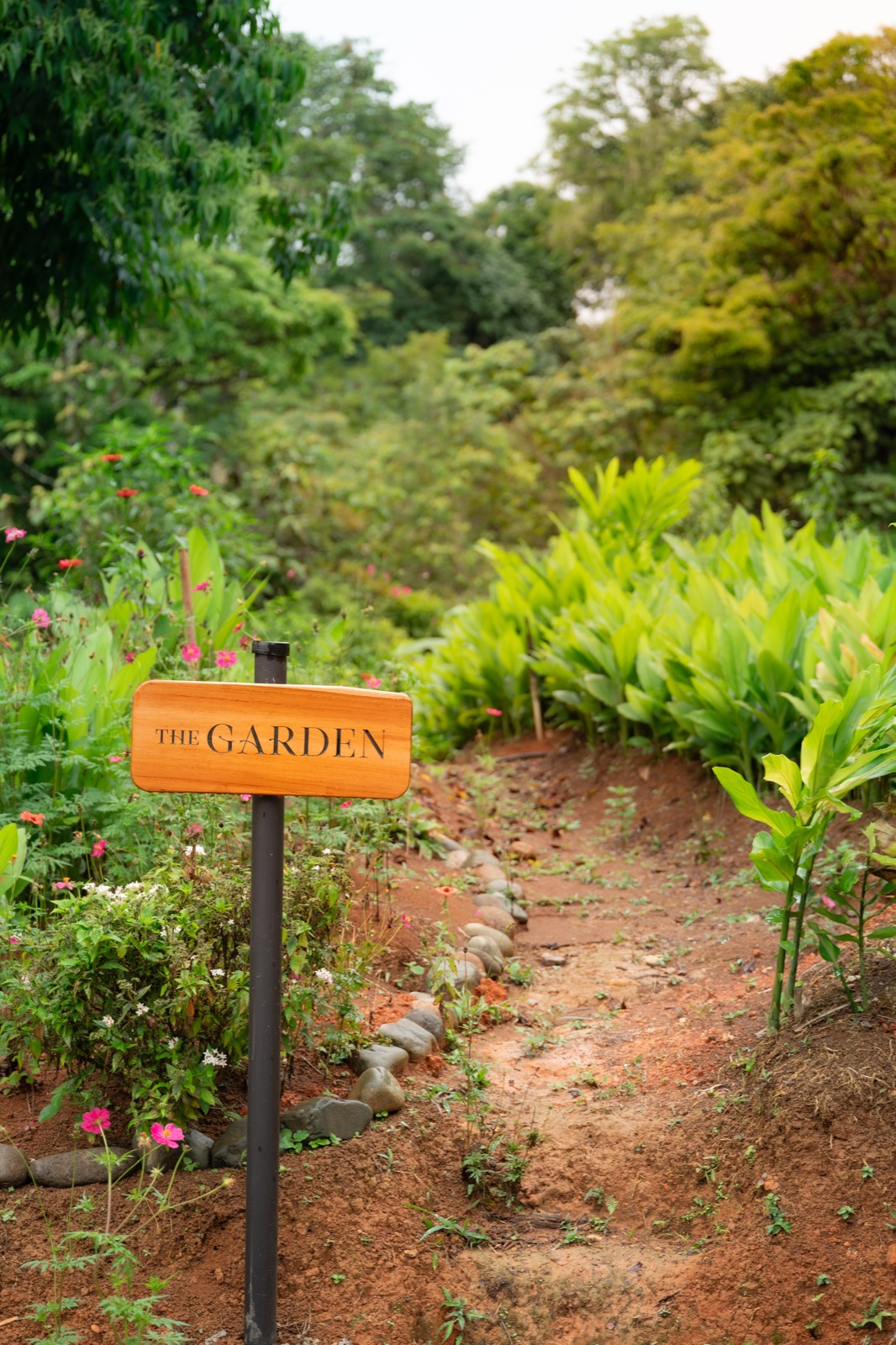 The Farm accommodation and retreat space at Metamorfinca near Uvita, Costa Rica — view 21