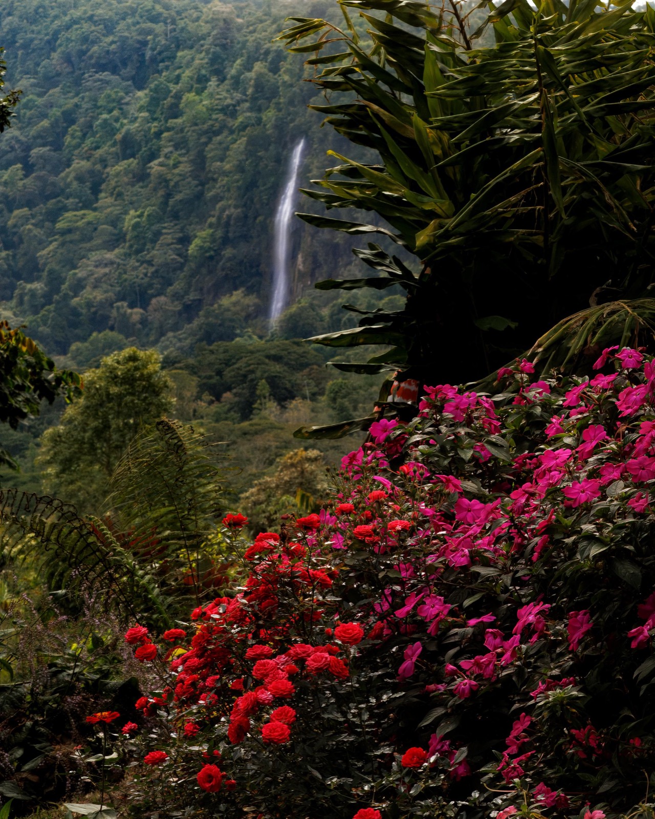 The Farm accommodation and retreat space at Metamorfinca near Uvita, Costa Rica — view 26