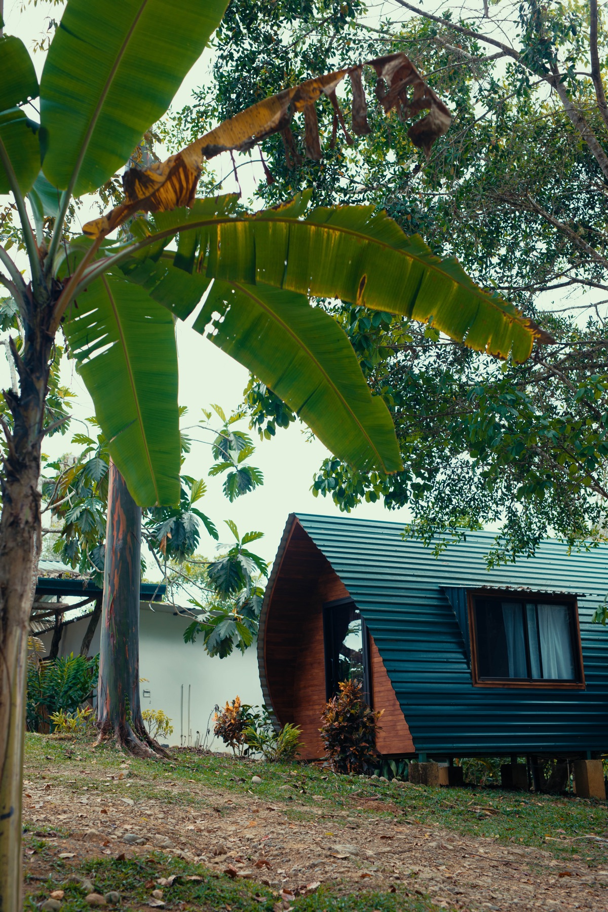 The Jungle Pod accommodation and retreat space at Metamorfinca near Uvita, Costa Rica — view 1