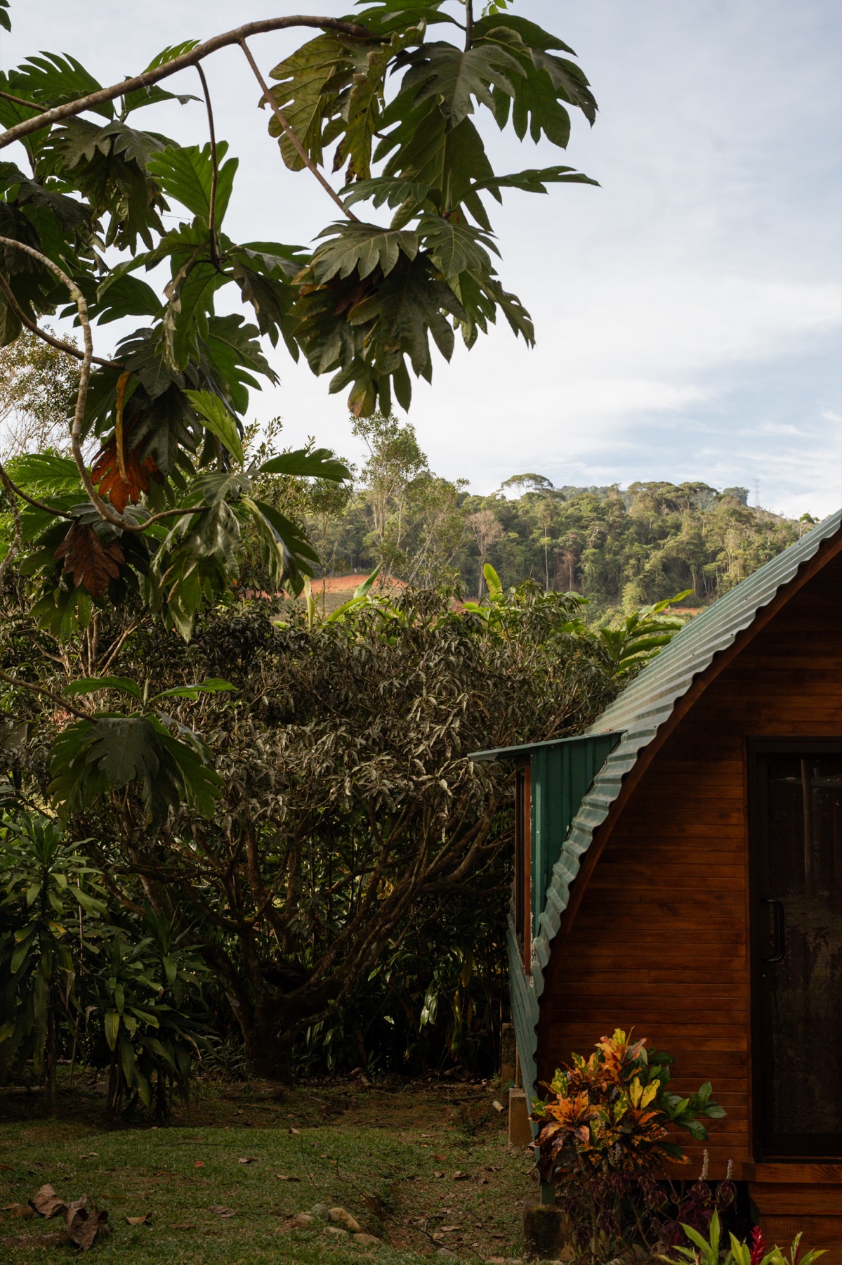 The Jungle Pod accommodation and retreat space at Metamorfinca near Uvita, Costa Rica — view 7