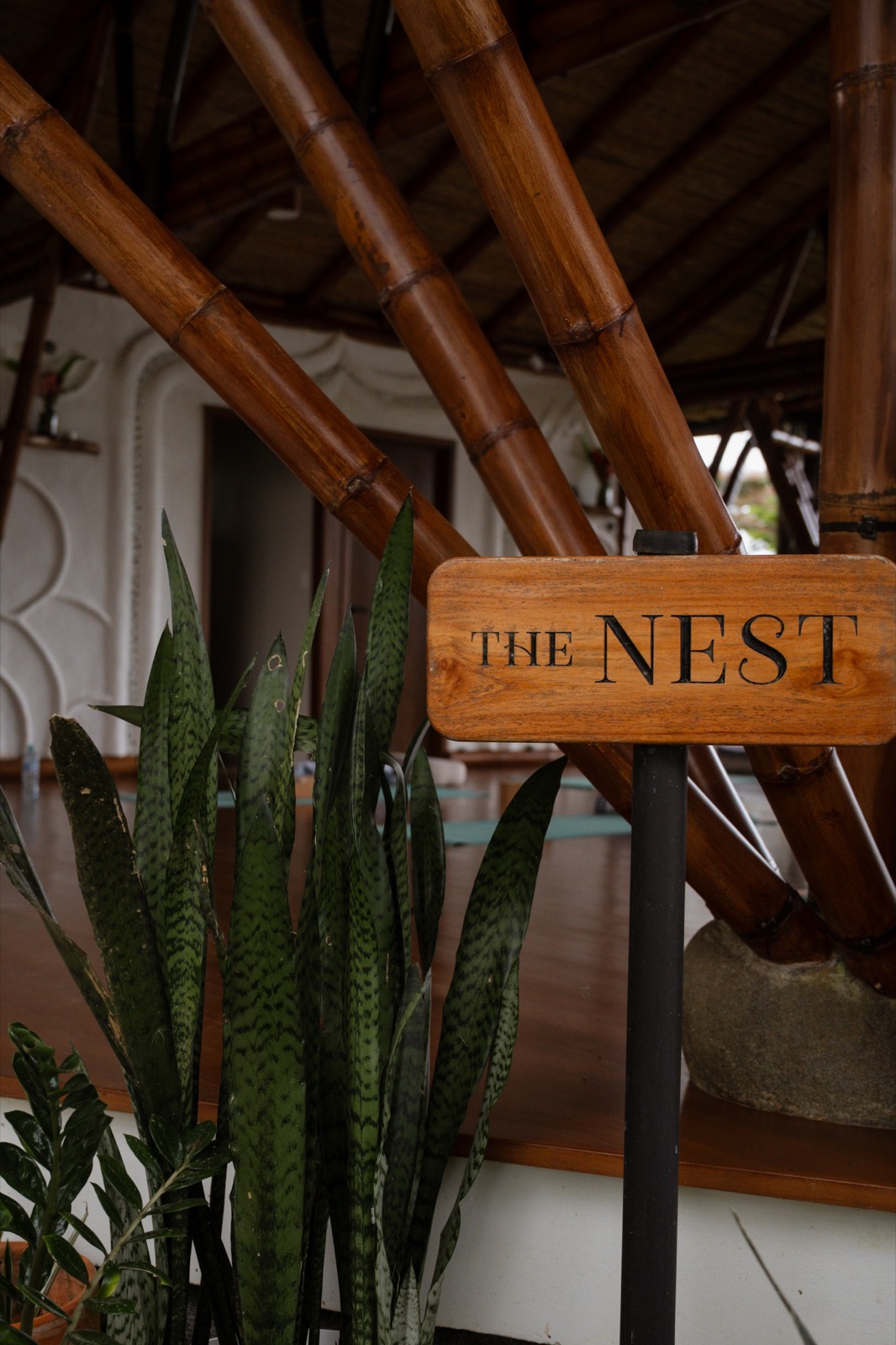 Yoga & Spa accommodation and retreat space at Metamorfinca near Uvita, Costa Rica — view 28