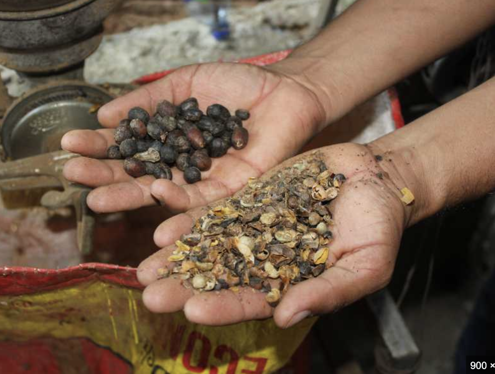 Don Emilio Coffee Tour