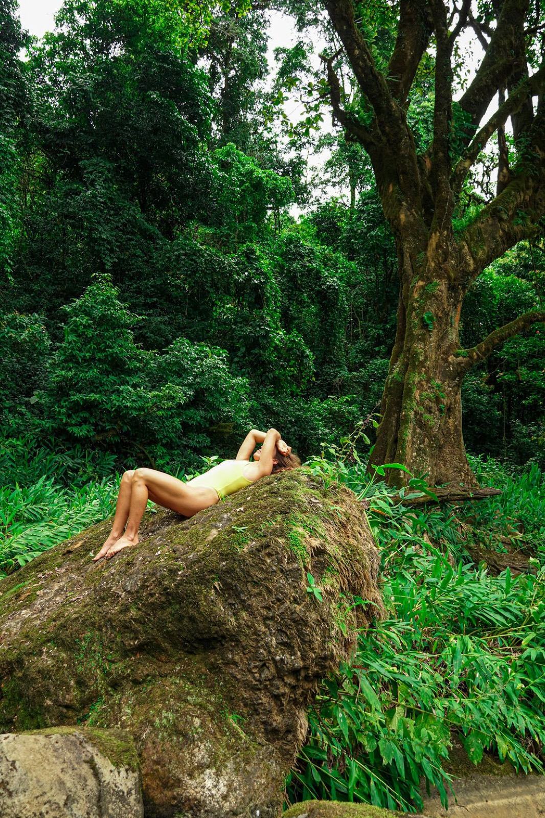 Wellness retreat, ceremony or group gathering at Metamorfinca retreat center in Costa Rica — view 25